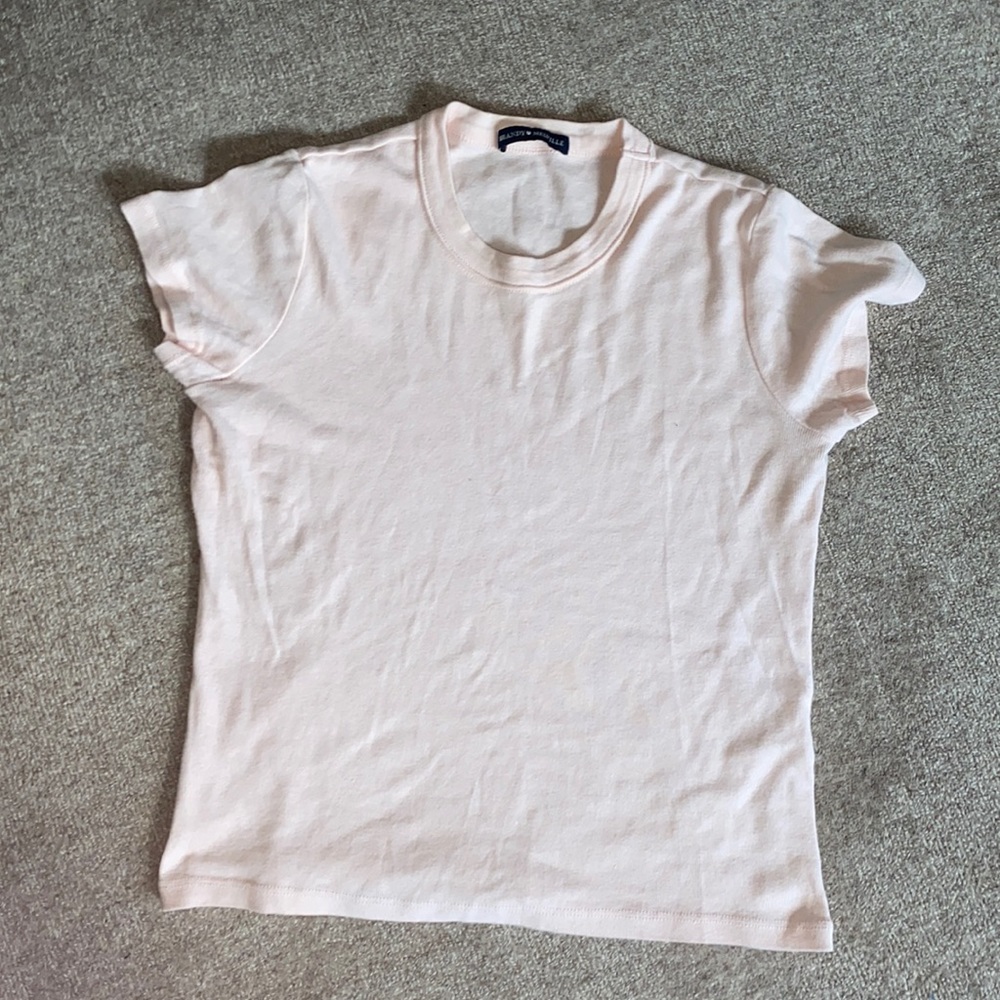 Brandy Melville Crop Top